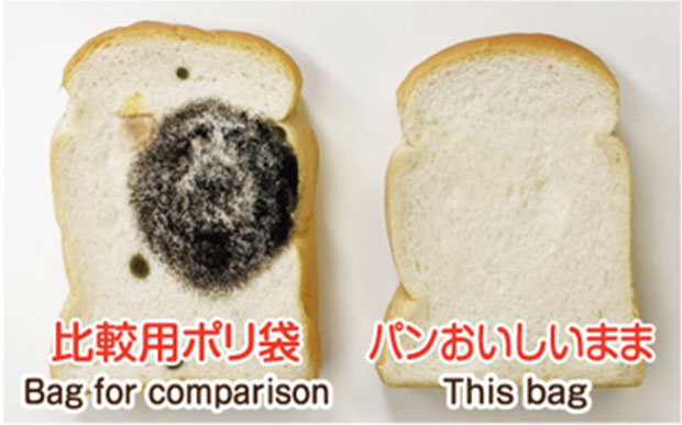 パンの微生物試験（真菌数）