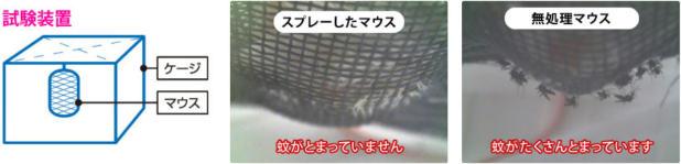 ミスト試験（ヒトスジシマカ）