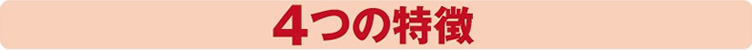 4つの特徴